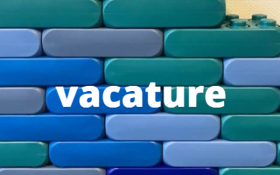 Vacature Business Consultant