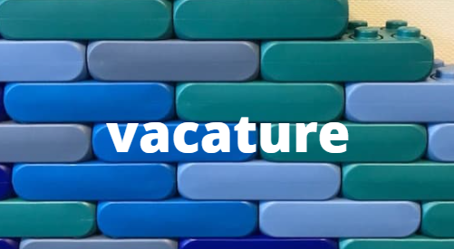 Vacature Business Consultant